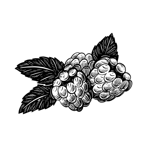 media}