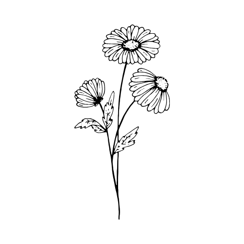 media}