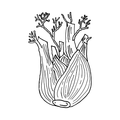 media}