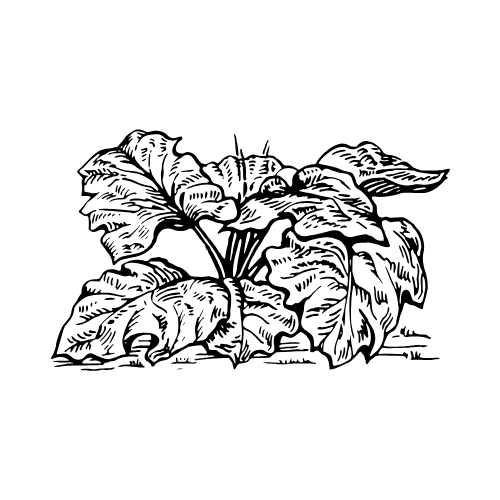 media}